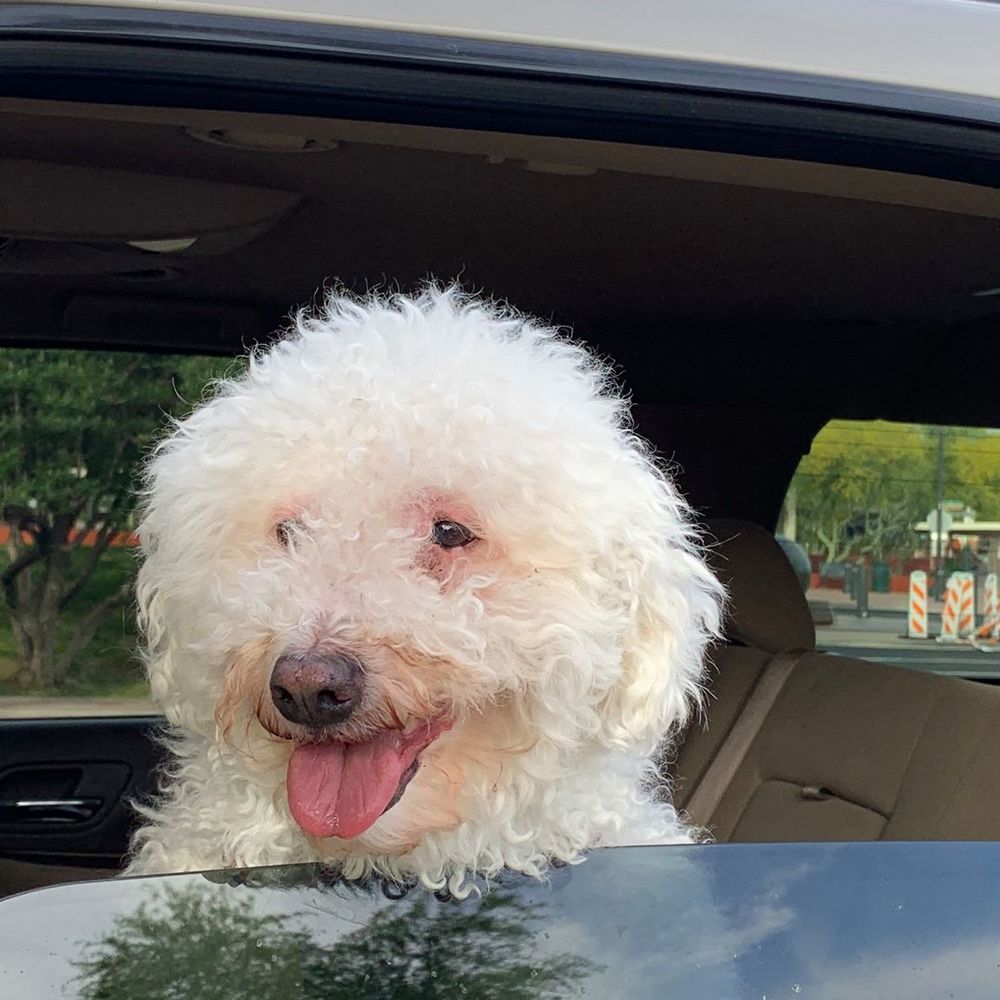 Meet your Posher, Astrud